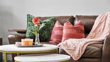 Televisio, takka, kirjoja, työhuone