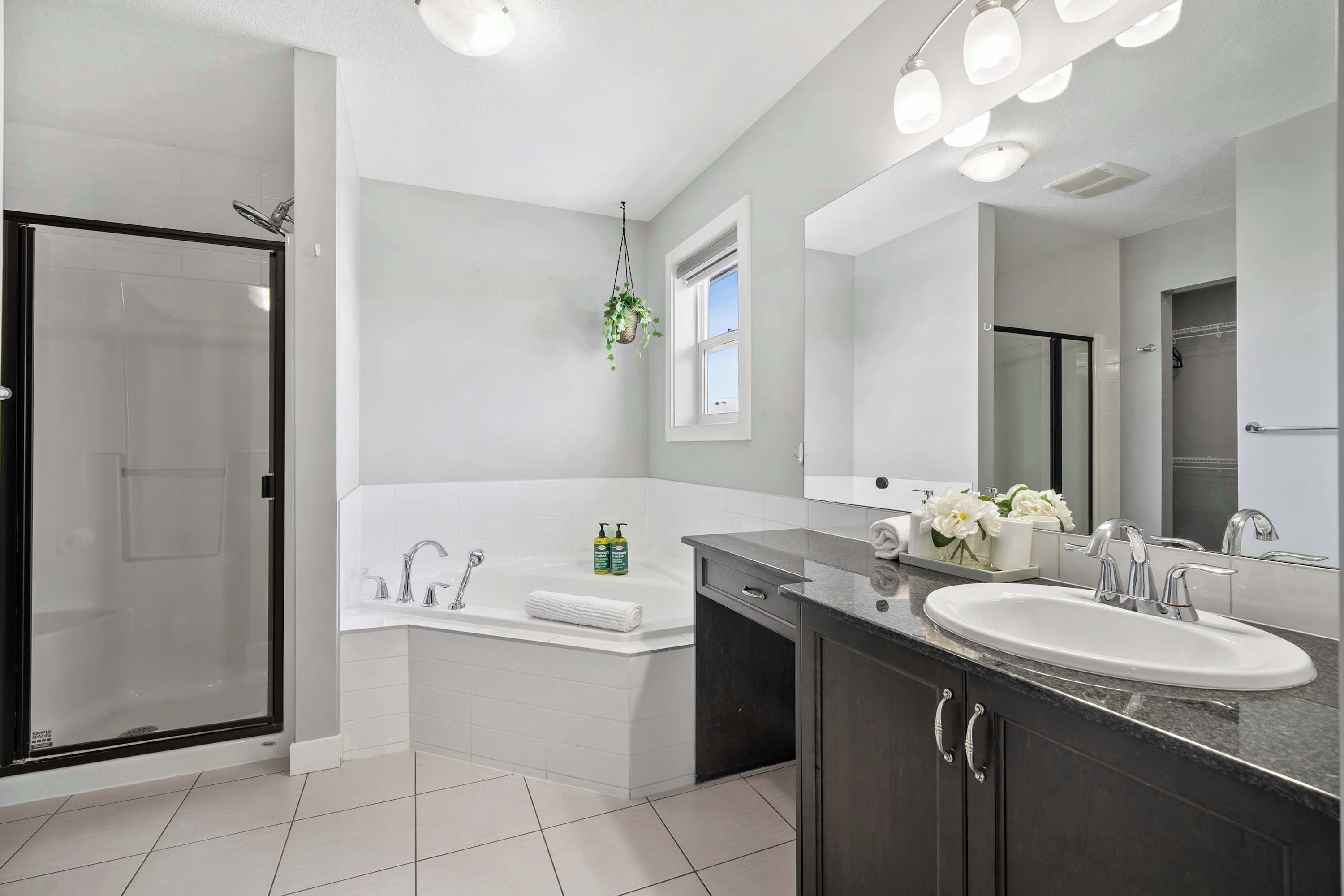 Shower, hair dryer, towels, shampoo