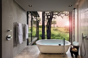 Rainfall showerhead, hair dryer, bathrobes, slippers - Cheetah Plains Private Game Reserve (Sabi Sand Game Reserve)