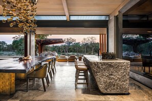 Mapogo Villa | Living area | 46-inch flat-screen TV with digital channels, fireplace, Netflix - Cheetah Plains Private Game Reserve (Sabi Sand Game Reserve)