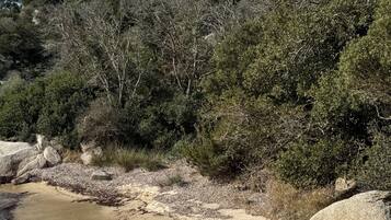 Plage, chaises longues