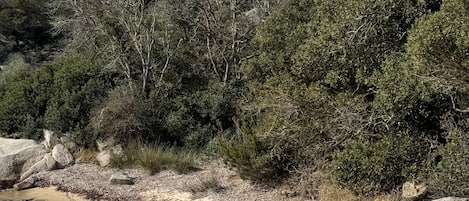 En la playa, sillas reclinables de playa