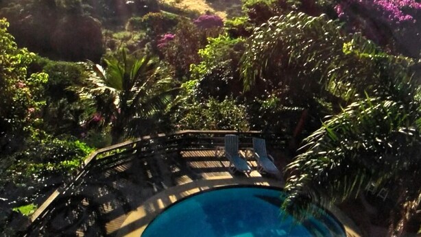 A pool surrounded by lush greenery and a mountainous backdrop. - Itaipava House (Itaipava)