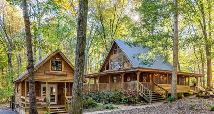 The Snug Nest Nestled in Canopy Woods