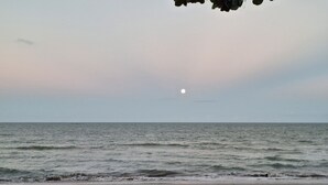 Une plage avec des vagues et une lune visible dans le ciel.