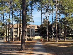 A pathway lined with tall trees leading to a multi-story building with balconies.