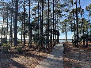 A pathway through a forest with tall pine trees and a view of a body of water in the distance.