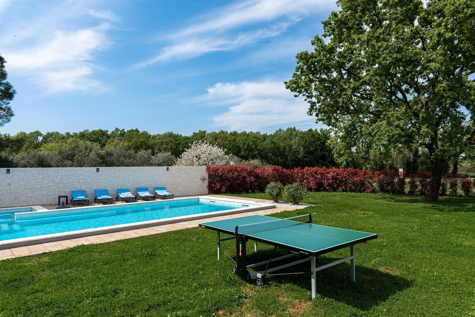 Piscina con sillas de descanso y una mesa de ping-pong en un patio cubierto de césped.