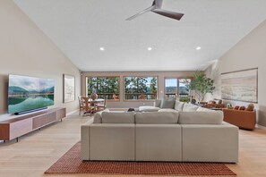 Smart-tv, pejs, videospil, bøger