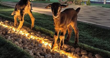 Serene chalet with WiFi in Ras Al-Khaimah