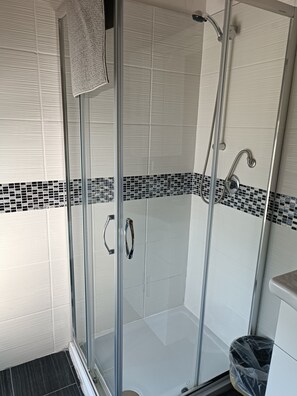 Shower, hair dryer, bidet, towels