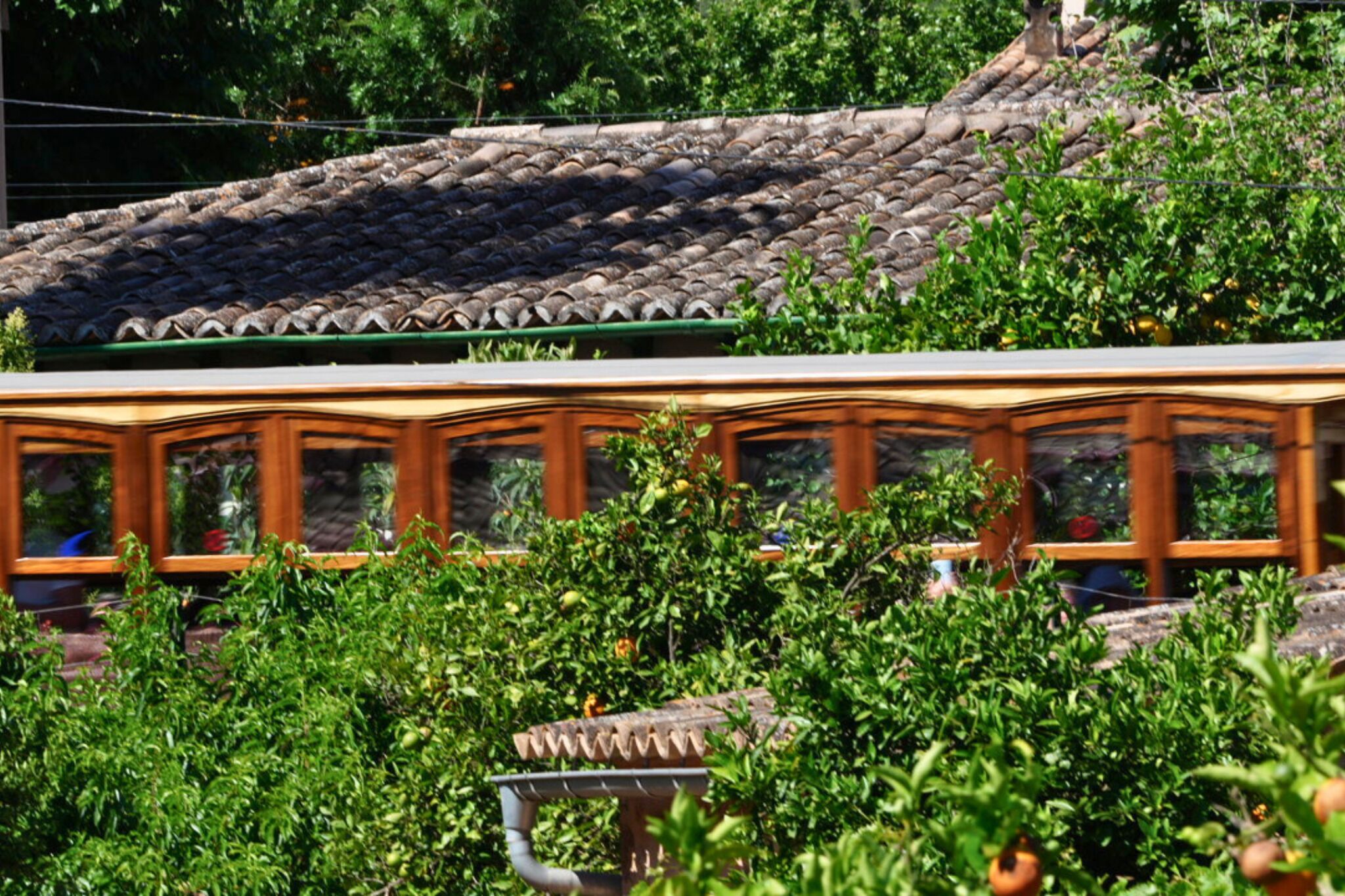 Foto - Solleric Petit Hotel