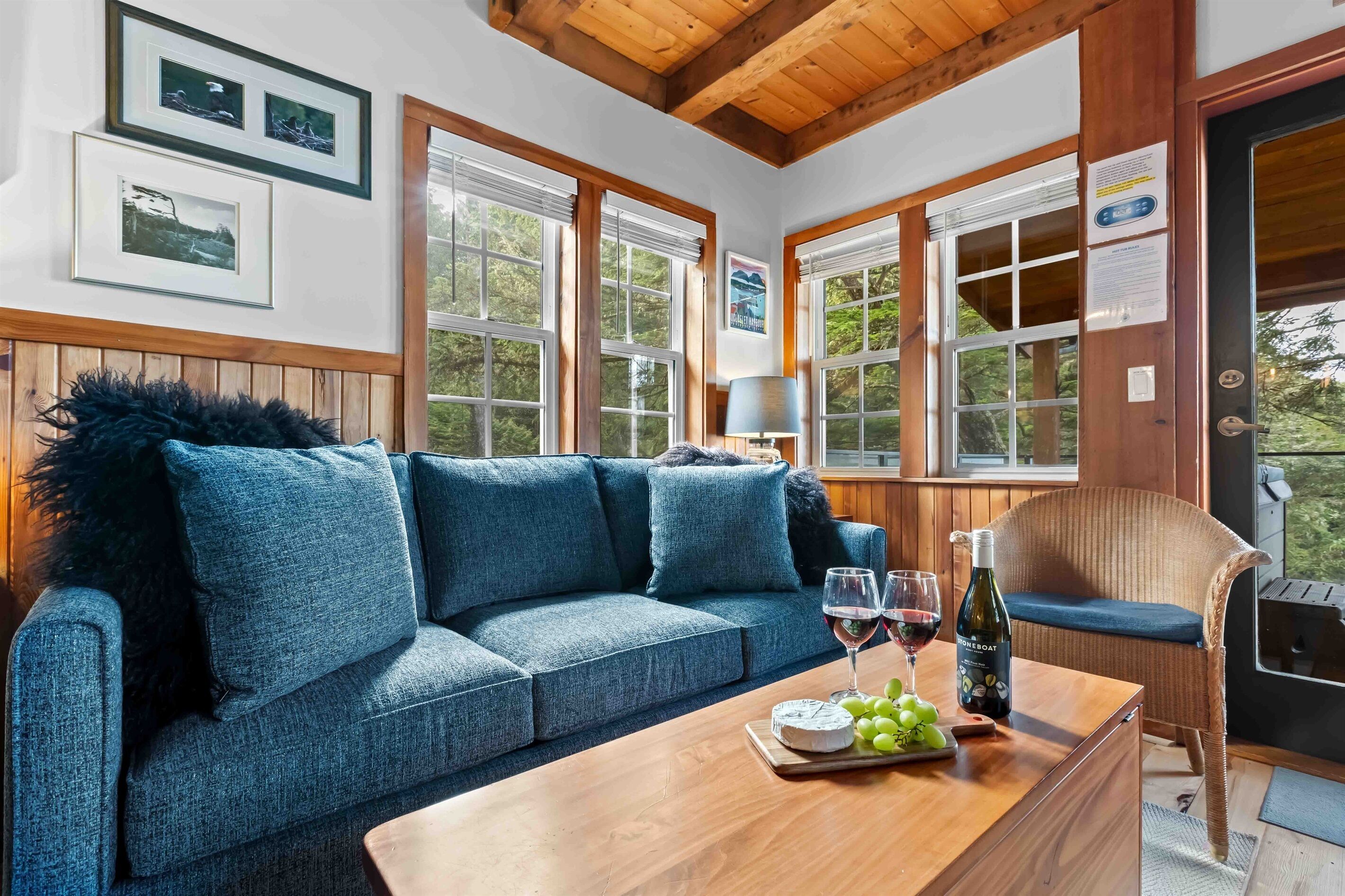 TV connectée, cheminée, livres