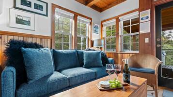 TV connectée, cheminée, livres