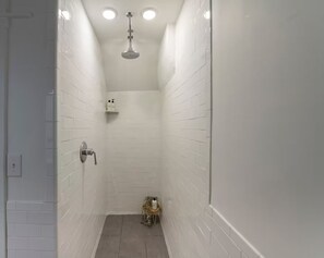 Shower, hair dryer, towels, soap - Modern Studio APT in the Heart of Downtown Geneva (Geneva)
