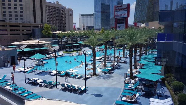 Un espace piscine sur le toit, comprenant plusieurs piscines, des chaises longues et des palmiers.