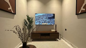Televisión de pantalla plana
