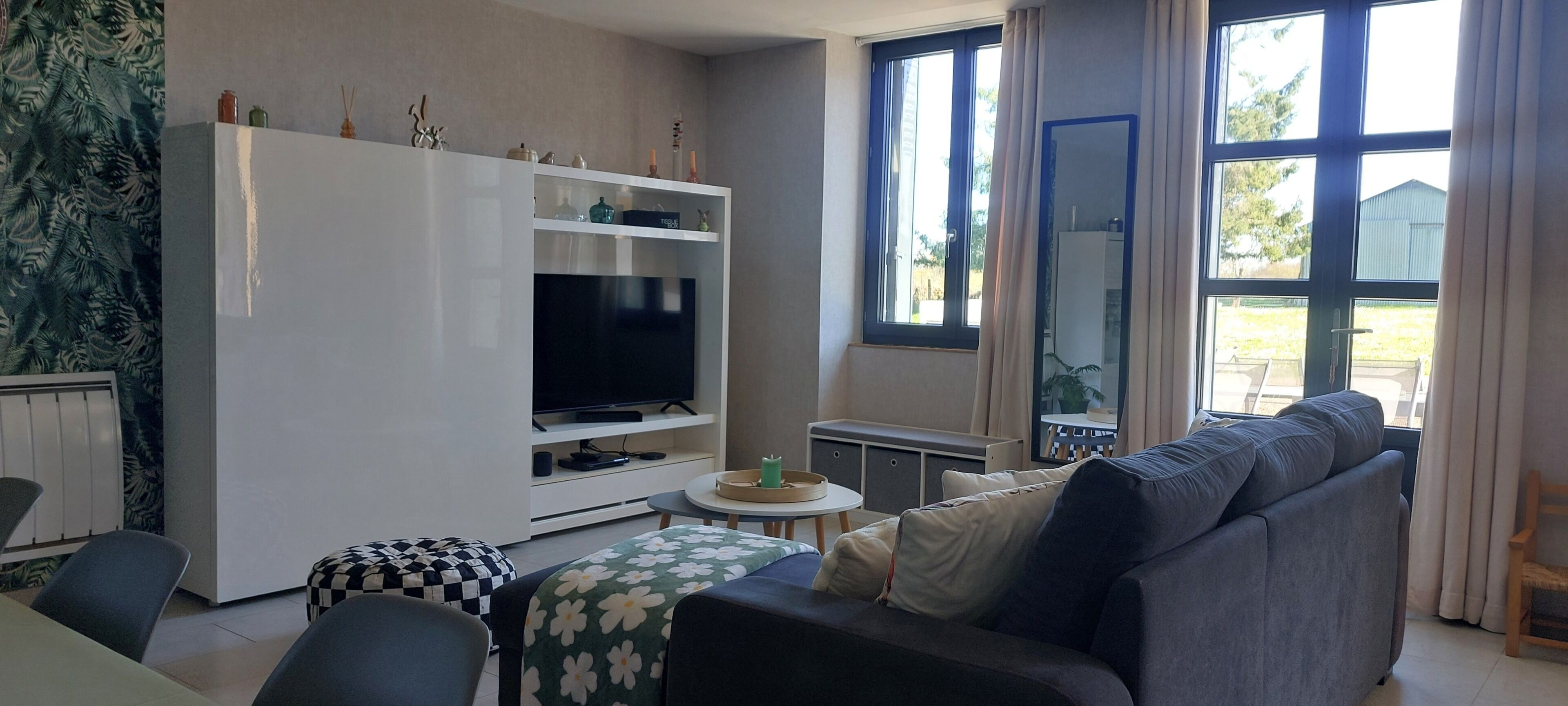 TV connectée, lecteur de DVD, livres