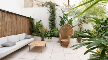 Terras