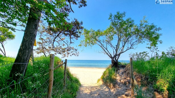 A sandy path leading to a beach with a clear view of the ocean. - Apartament Let's Sea 82 - 365PAM (Gaski)