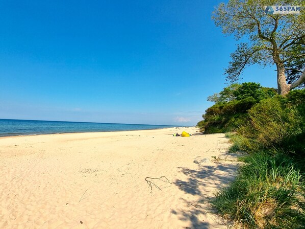 Ein Strand mit Zelt und Baum.