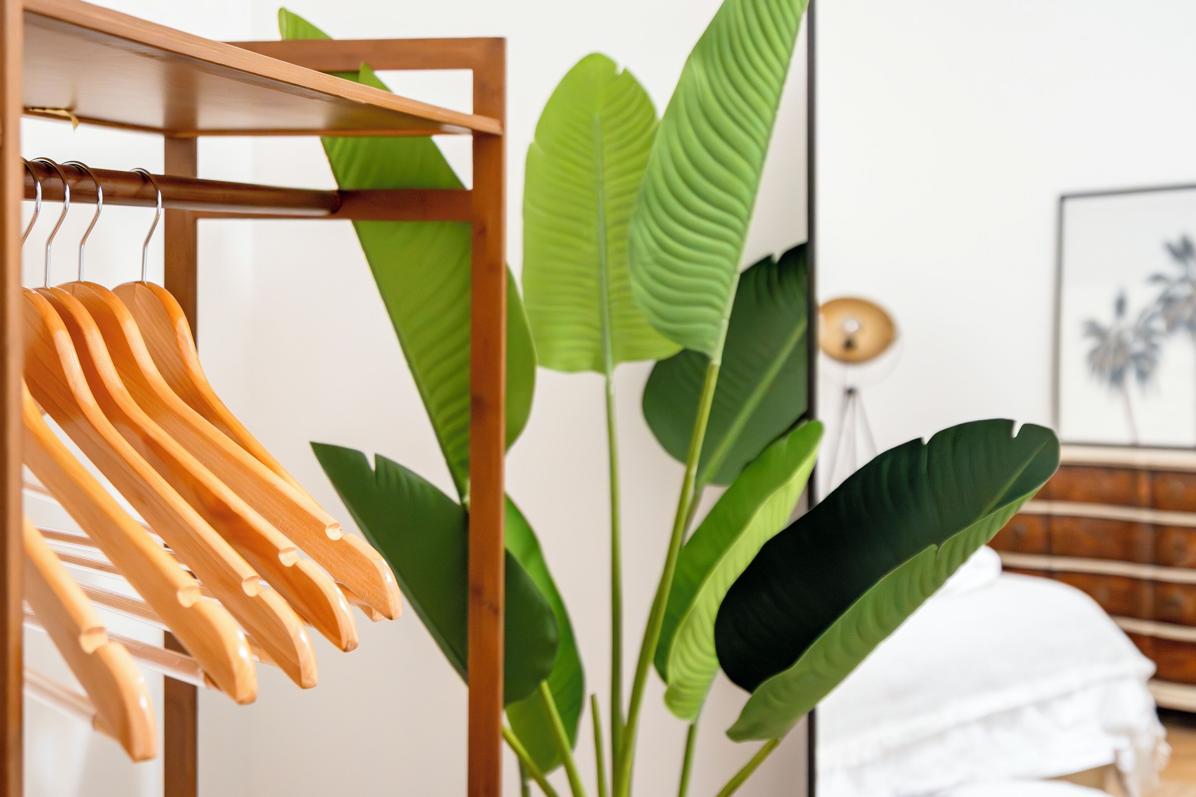 A wooden drying rack with clothes hanging, large green leaves, and a framed picture on the wall.