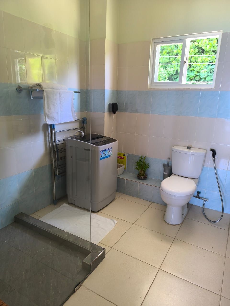 A bathroom with a shower, toilet, and a small sink.