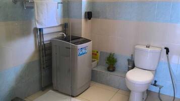 A bathroom with a shower, toilet, and a small sink.