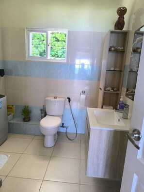 シャワー、ヘアドライヤー、タオル、石鹸