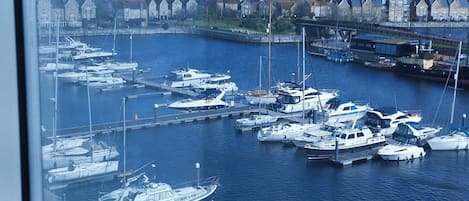 Appartement | Marina
