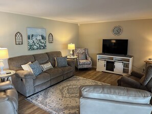 Smart TV, fireplace, books