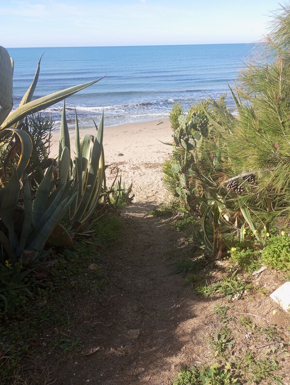 Un sentier de terre mène à une plage de sable offrant une vue sur l’océan.