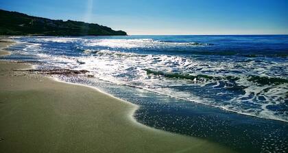 Sun Sea Nature A