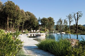 A pool area with a stone pathway, surrounded by lush greenery and trees. - 2-bedroom rustic apartment in charming Gambassi with WiFi (Gambassi)