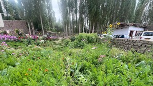 Um jardim com diversas plantas e flores, uma parede de pedra e um carro estacionado.