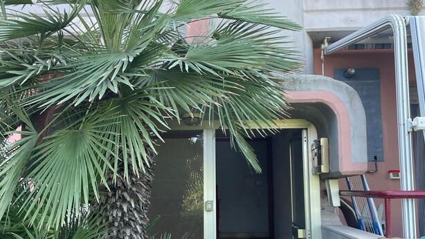 A building with a concrete entrance, a palm tree, and a tiled pathway leading to a door. - Apartment with all amenities 50 meters from the sea. Breathtaking view (Lido Riccio)