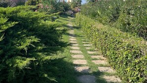 A pathway through a garden with dense greenery and buildings in the background. - Apartment with all amenities 50 meters from the sea. Breathtaking view (Lido Riccio)