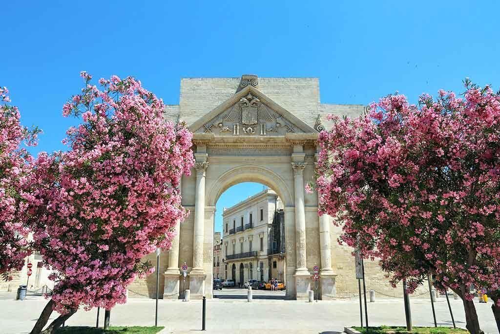 Un arco con árboles de flores rosadas a ambos lados.