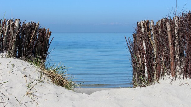 A sandy beach with a wooden fence leading to the water.