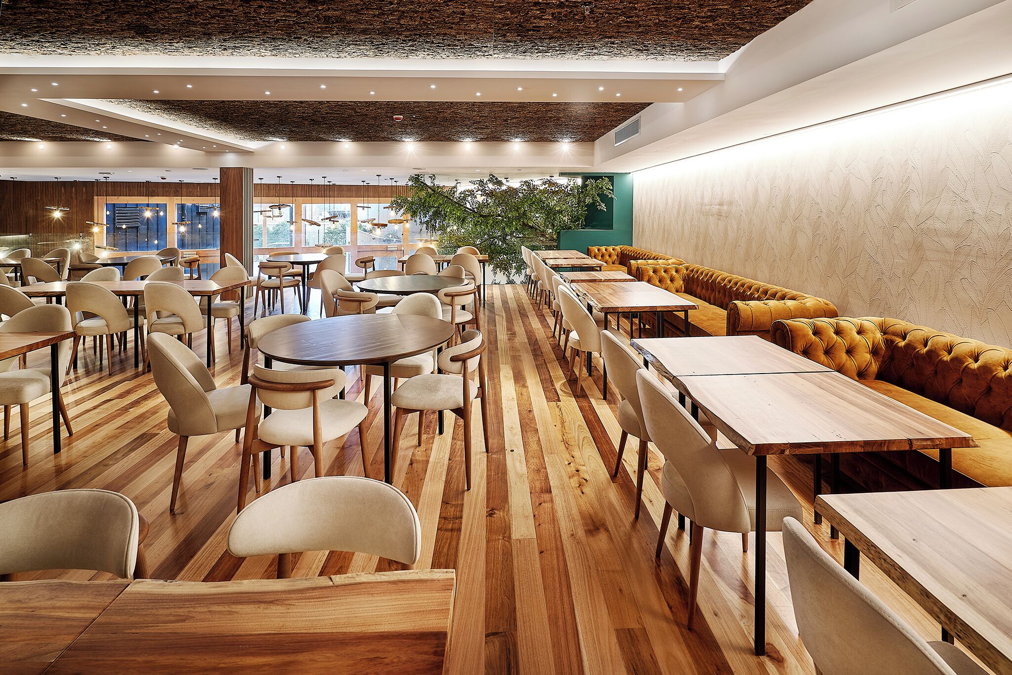 A spacious dining area with wooden tables and chairs, a long bench seating area, and a large window providing natural light.