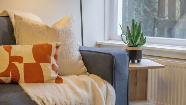 A modern living room with a grey sofa, a small wooden side table, and a potted plant.