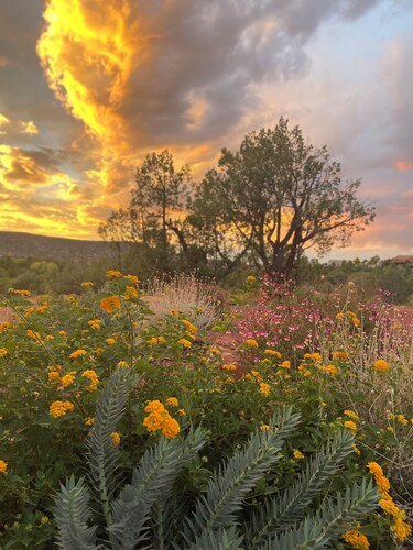 Red Canyon Casita - Stargazing + Red Rock Pass 1Bed, 1Bath Casita - Sleeps 2