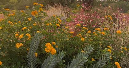 Red Canyon Casita - Stargazing + Red Rock Pass 1Bed, 1Bath Casita - Sleeps 2