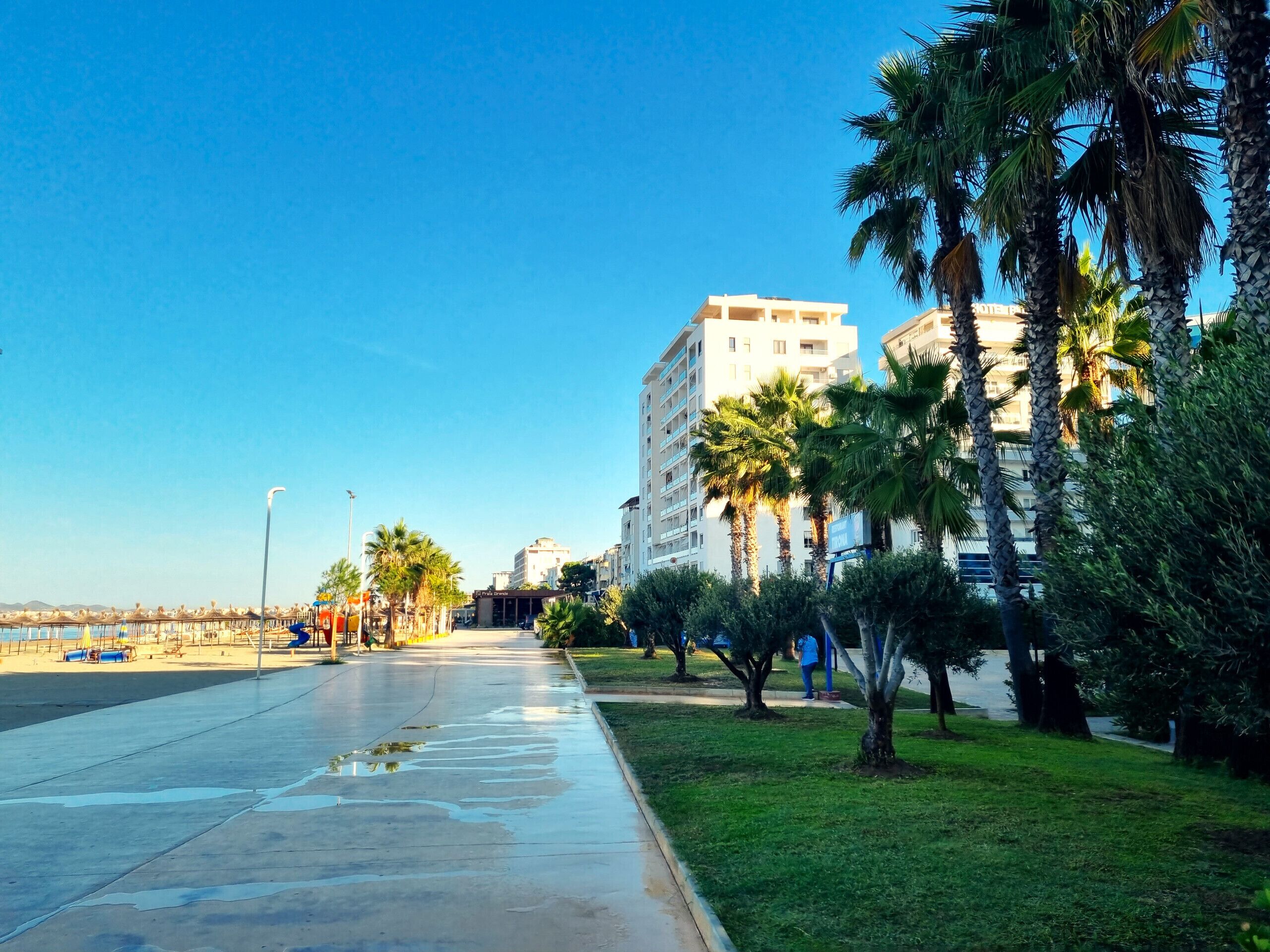 Un paseo marítimo con palmeras, cielo despejado y edificios modernos al fondo.