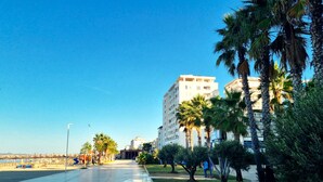 Un paseo marítimo con palmeras, cielo despejado y edificios modernos al fondo.