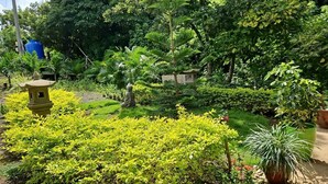 Un jardín exuberante con diversas plantas y una pequeña estructura similar a un pagodas.
