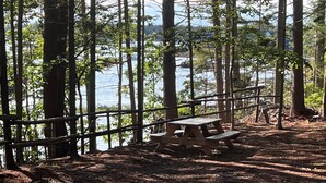 A forested area with a picnic table and a wooden fence overlooking a body of water. - Two charming cottages, a quiet ocean cove, a serene forest with private trails (Phippsburg)