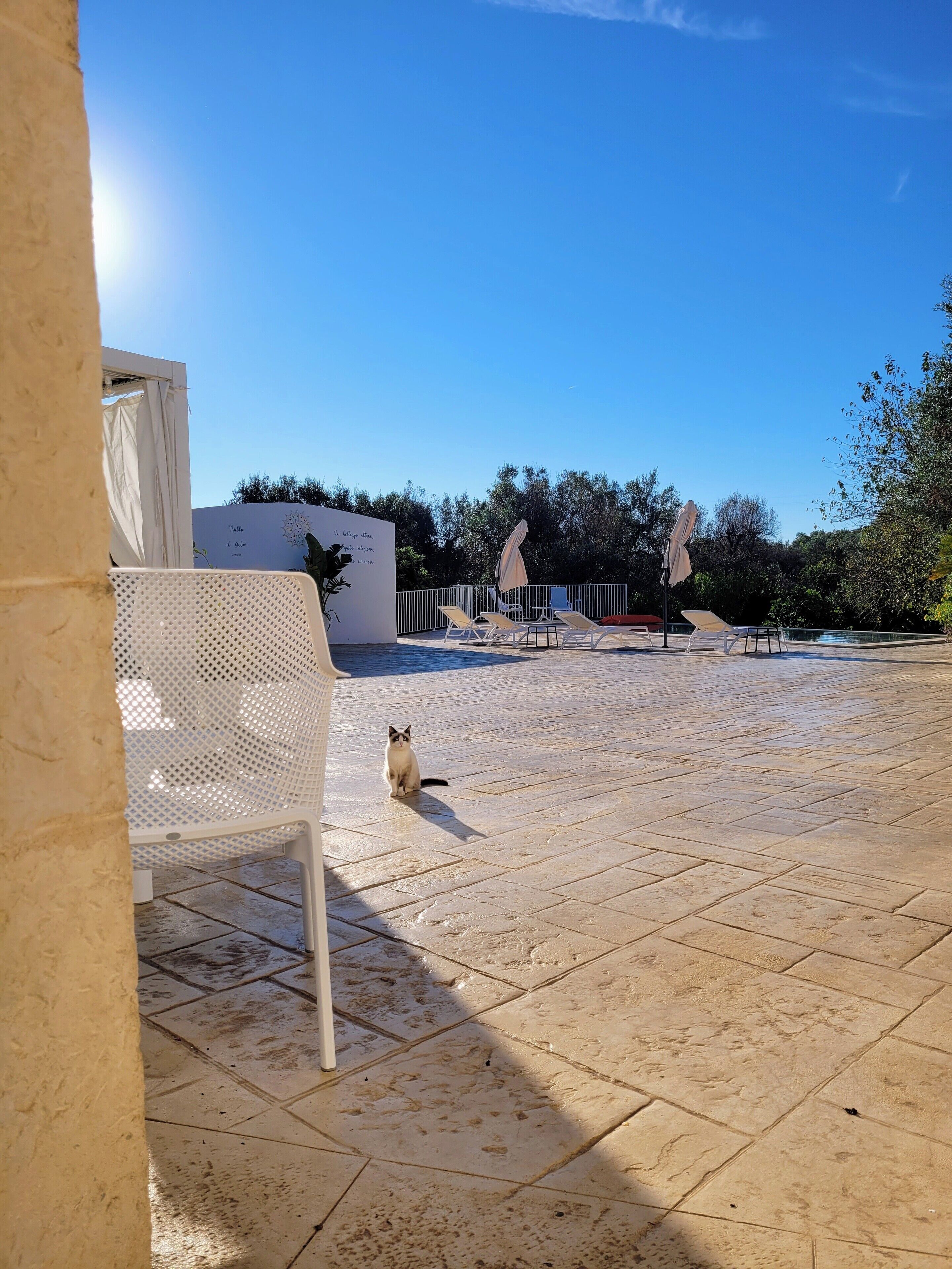 A courtyard with a tiled floor, a white chair, and a cat.