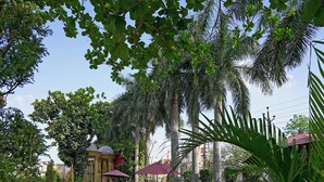 A landscaped garden with a water feature, palm trees, and a building with a red roof. - Haveli Banquet & Resort (Ajmer)