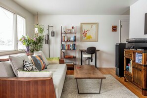 Smart TV, fireplace, books, music library